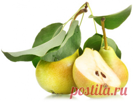 Груша - Полезные и опасные свойства груш