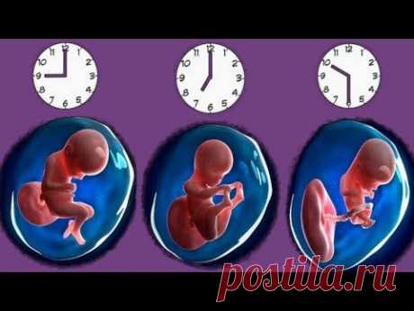В КАКОМ ЧАСУ РОДИЛИСЬ, ТАКАЯ И СУДЬБА