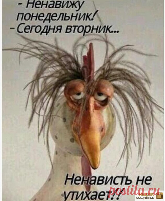 Прикольные картинки / Картинки: Приколы