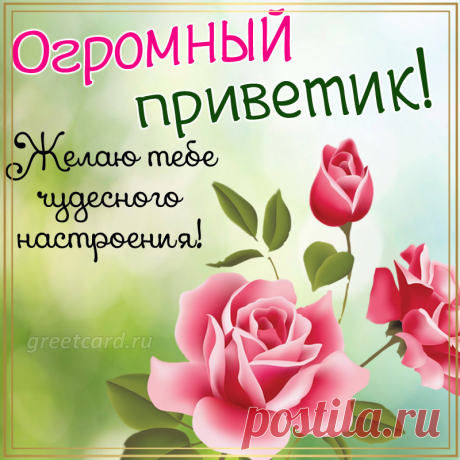 Огромный привет! Желаю тебе отличного настроения!