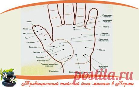 ☀ Волшебные точки на теле человека. Будьте всегда в форме 
==================================

Точка активации силы. Если собрать вместе кончики всех пальцев, она будет находиться в ямке в центре ладони. Если вы чувствуете вялость, упадок сил, апатию, сонливость, массируйте эту точку.