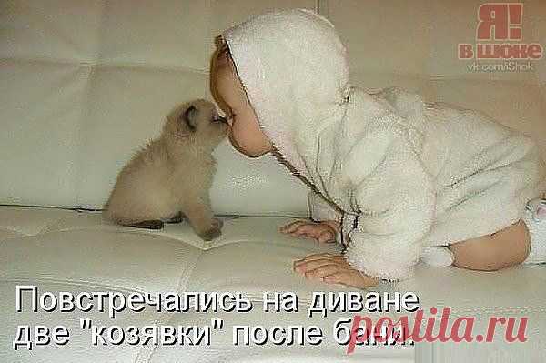 Встреча