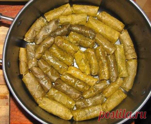 Как приготовить долму в виноградных листьях :: Кулинарные рецепты