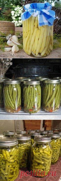 Спаржевая фасоль рецепты приготовления на зиму: такие популярные виды заготовки как консервированная и заморозка » eТеплица