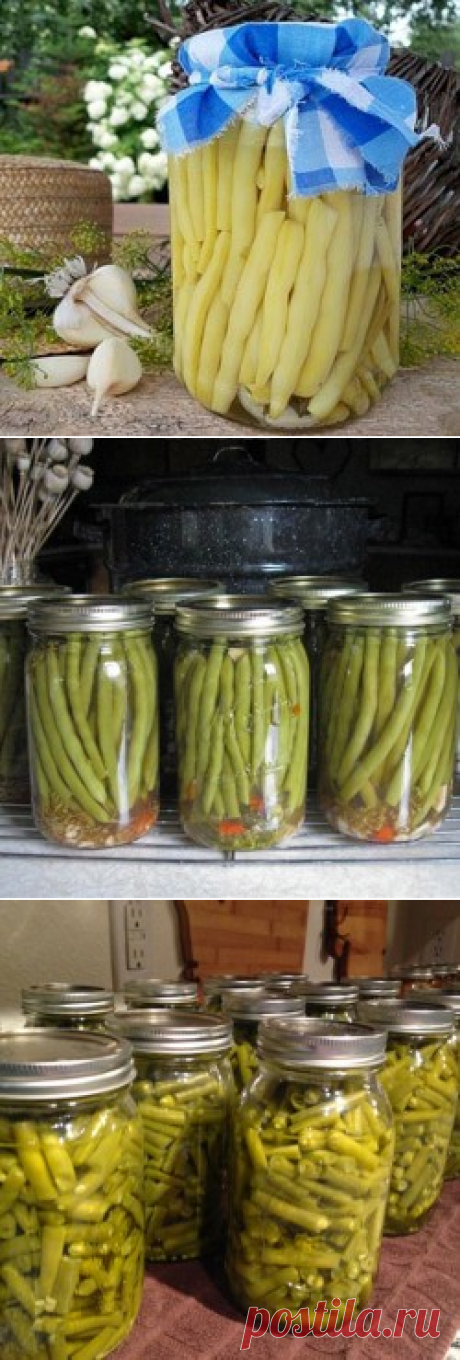 Спаржевая фасоль рецепты приготовления на зиму: такие популярные виды заготовки как консервированная и заморозка » eТеплица
