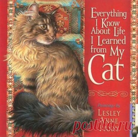 лесли энн айвори meet my cats - Поиск в Google