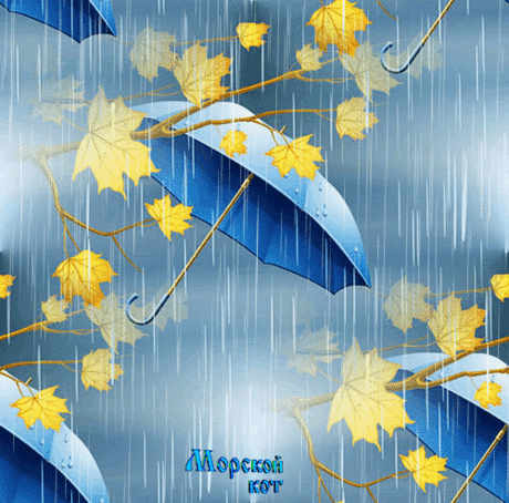 Фото Без названия. Альбом Комментарии - 0 фото. Фотографии *** МОРСКОЙ КОТ ***.