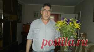 Совпадения: Kismia