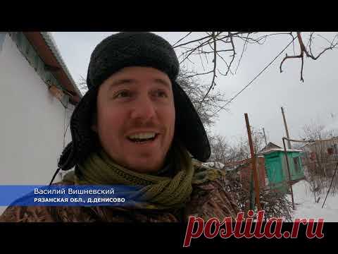 Что делать со старым салом? - Хлебопечка.ру