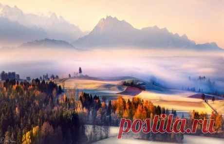(10) Твиттер / В курсе