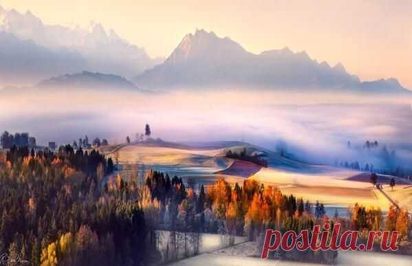 (10) Твиттер / В курсе