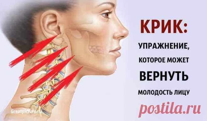 Упражнение, которое может вернуть молодость лицу | Красота и здоровье | Яндекс Дзен