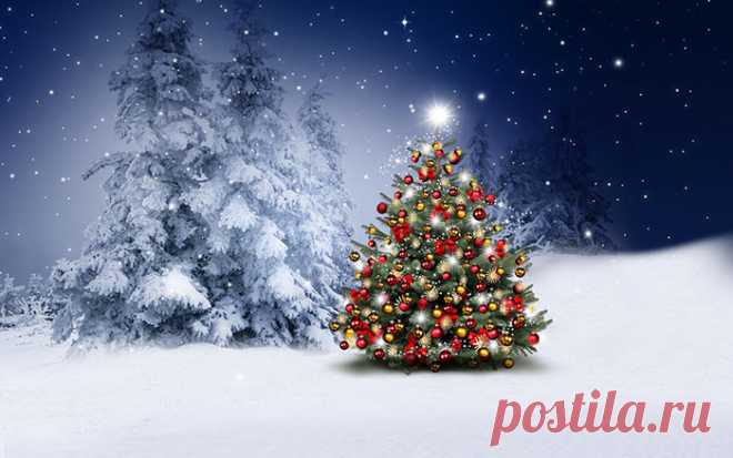 Праздники и памятные даты декабря - календарь праздников