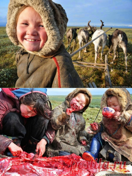 Nenetler - Nyenyecek - Ненцы - Nenets people - Türk Asya - Asian Turkish, Тюрки России