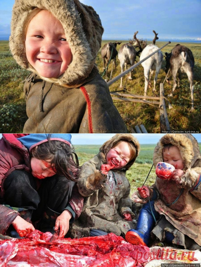 Nenetler - Nyenyecek - Ненцы - Nenets people - Türk Asya - Asian Turkish, Тюрки России