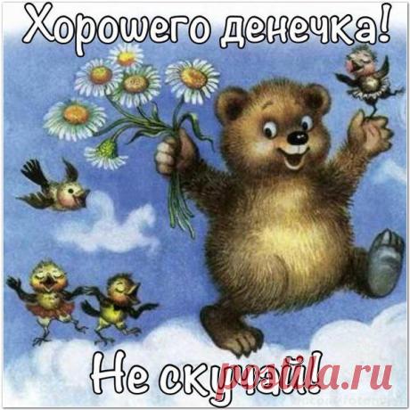 Новости