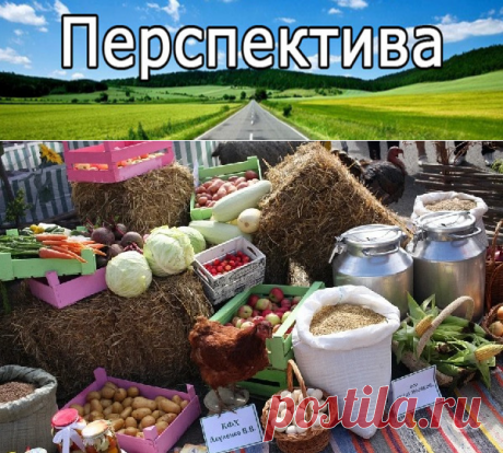 Экономическая модель России обрекает население на нищету | Pravdoiskatel