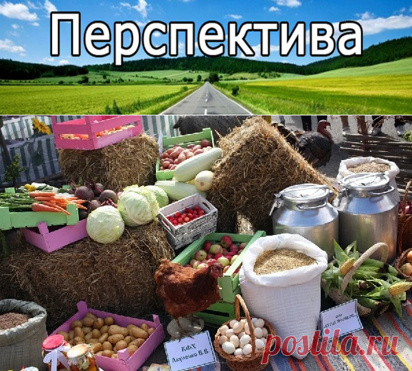Экономическая модель России обрекает население на нищету | Pravdoiskatel