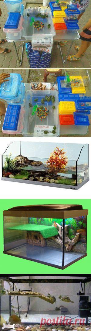 Аквариум для красноухой черепахи | Изготовление террариумов