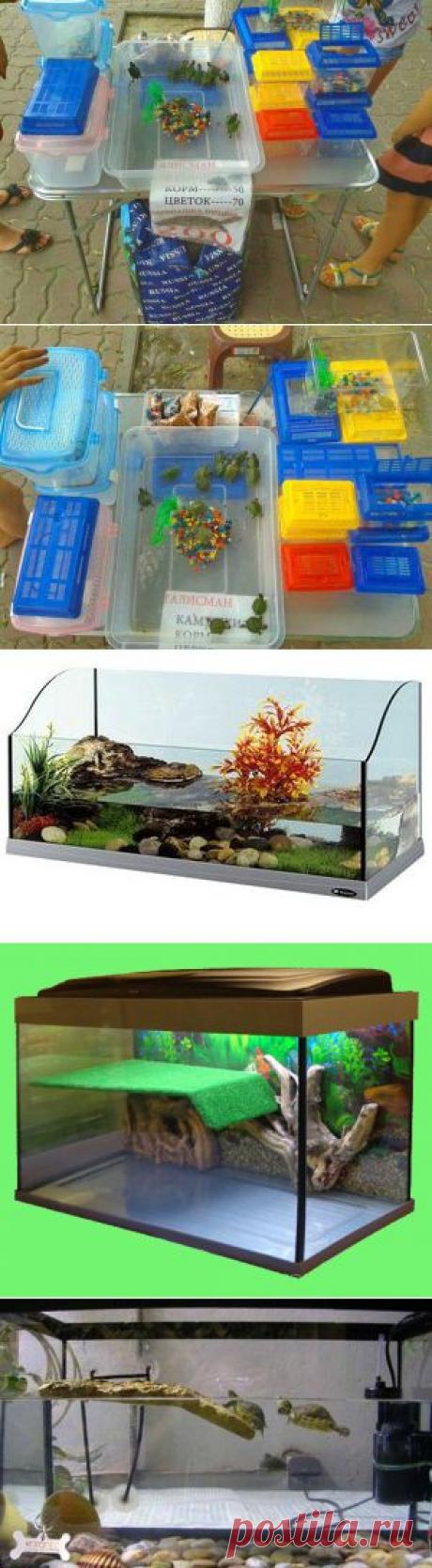 Аквариум для красноухой черепахи | Изготовление террариумов