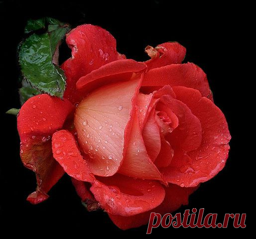 Ирина Георгиевна Я
Россия, Иди с Богом
все её фото