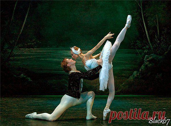 Мой любимый балет: "Лебединое озеро", композитор: Петр Чайковский..