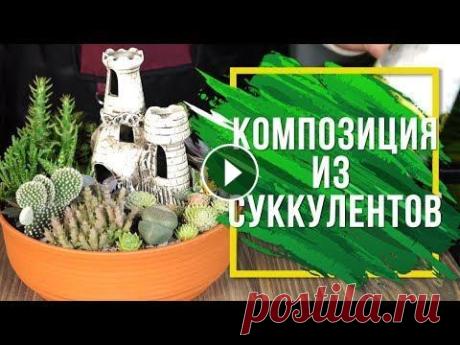 Цветочная композиция из суккулентов   ☘ Наш сайт - ✿ Мы вконтакте - ❦ Одноклассники - Товары представленные в роликах вы можете приобрести по адресу: г. Пенза, ул.Суворова 225, второй этаж...