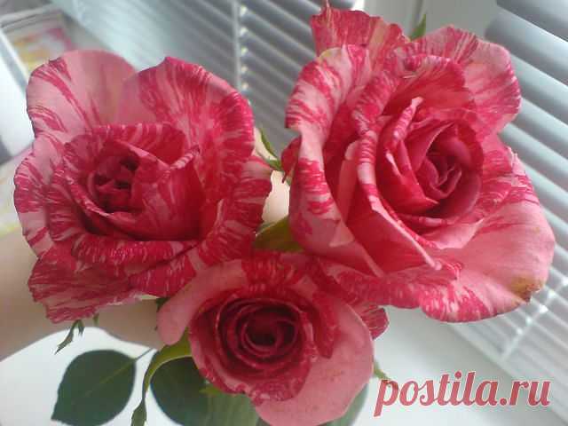 getImage (640×480)