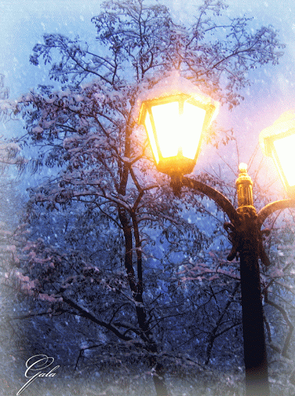 Живые фотографии – Живые картинки – Сообщество – Google+