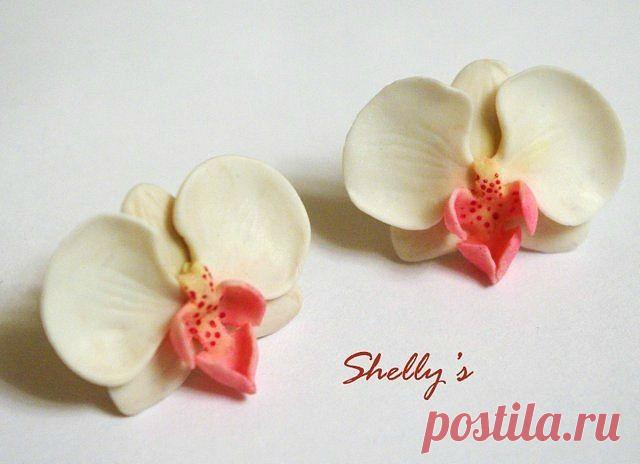Мастер класс: Орхидеи Фаленопсис от Shellony