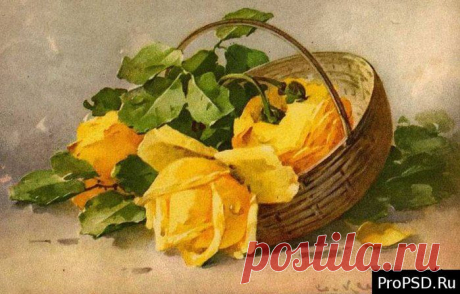 немецкие винтажные открытки: 9 тыс изображений найдено в Яндекс.Картинках