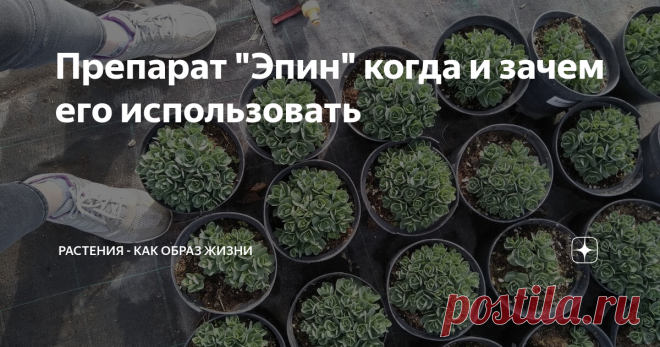 Препарат 
