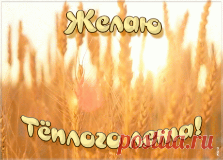 Картинка теплого лета