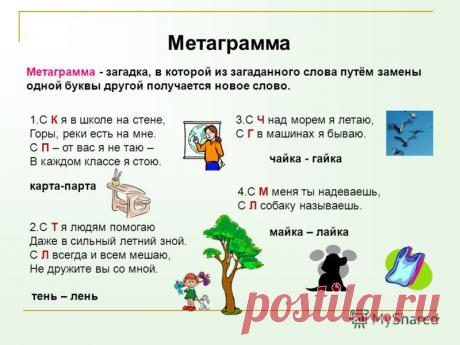 Детские загадки с ответами. Метаграммы