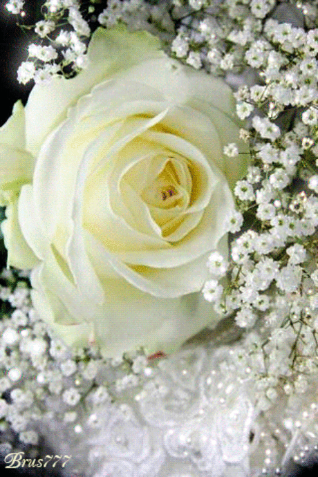 UNIVERSO GIF E MENSAGENS – Google+