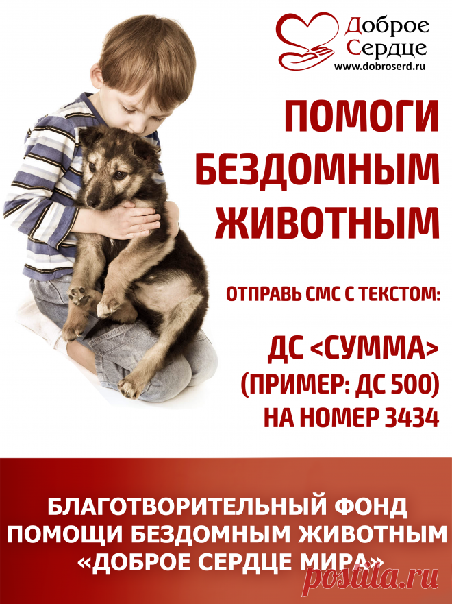 Статьи