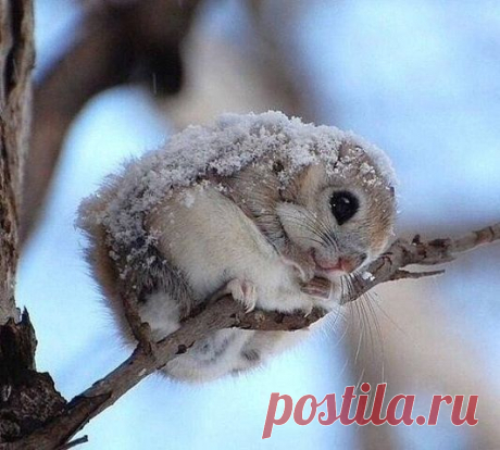 Интересные новости