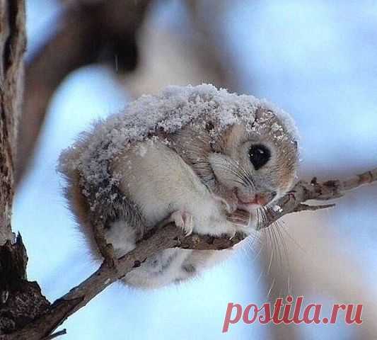 Интересные новости