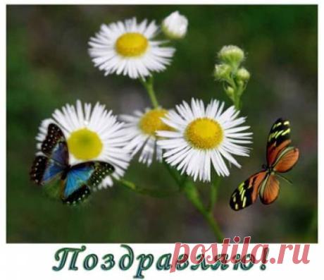 Андрей Биланов. Официальная страница