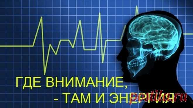 ГДЕ ВАШЕ ВНИМАНИЕ ТАМ И ВАША ЭНЕРГИЯ