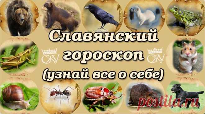 Славянский звериный гороскоп по дате рождения