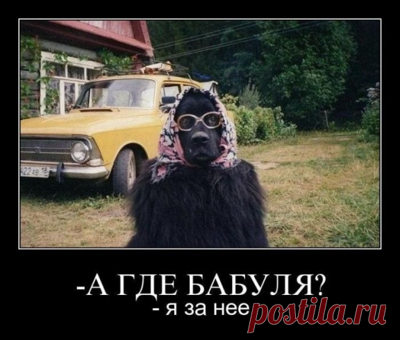 У стены плача.
