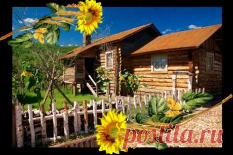 К деду в деревню приехал внук...