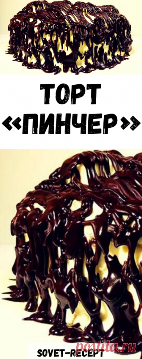 ТОРТ «Пинчер»