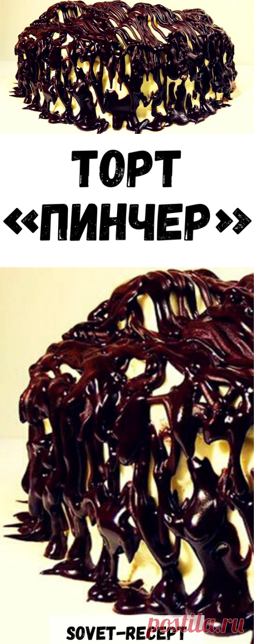 ТОРТ «Пинчер»