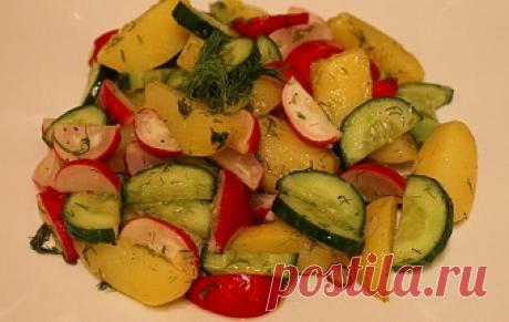 Салат из молодого картофеля / Овощные салаты / TVCook: пошаговые рецепты с фото