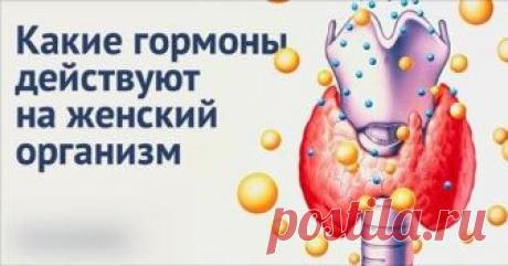 Какие гормоны действуют на женский организм