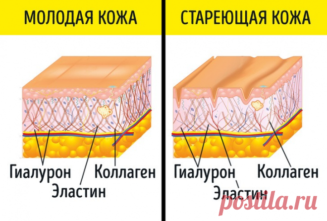 Как в 50 выглядеть на 30: японский секрет долголетия и здоровья - запись пользователя Karra Opire (id2647687) в дневнике - Babyblog.ru