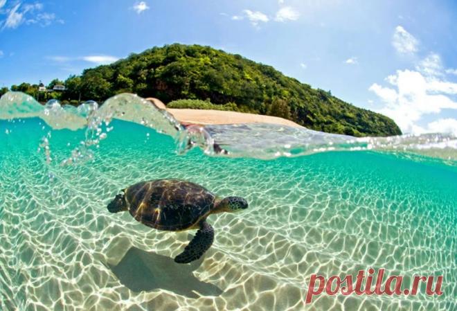 Стихия воды в 50 фотографиях знаменитого фотографа Clark Little - Photar.ru