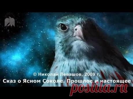Николай Левашов - Сказ о Ясном Соколе. Прошлое и настоящее